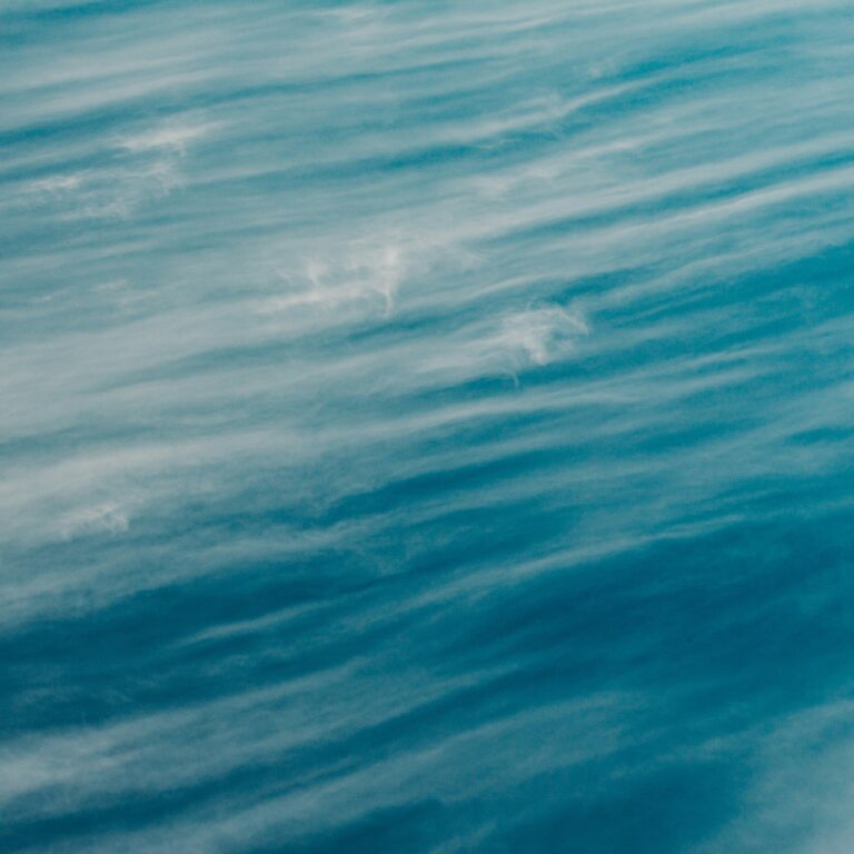 irina-iriser-Ze4tsZkbmKQ-unsplash